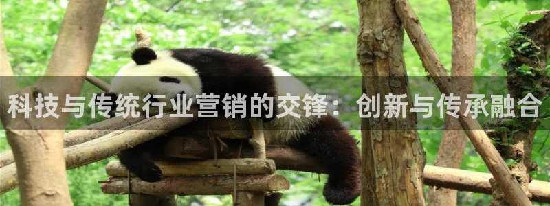 金年会官方登录入口手机版app