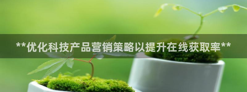 金年会官方入口APP