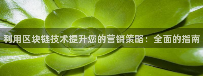 金年会体育app网页版官方入口