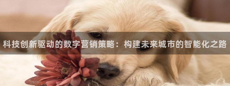 金年会体育官网入口
