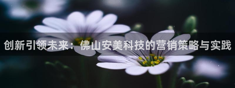 金年会体育买球app下载官网