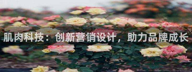 金年会官方新入口