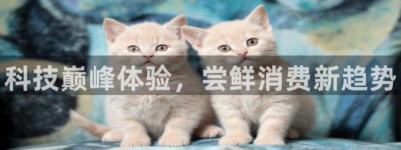 金年会体育平台连接下载