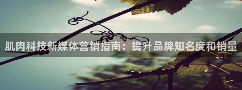 金年会体育竞彩app