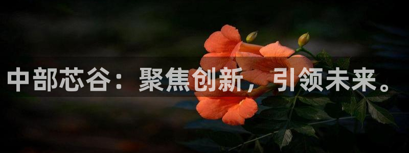 金年会金字招牌荣誉至上