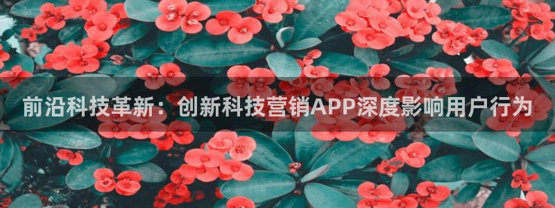 金年会体育好不好