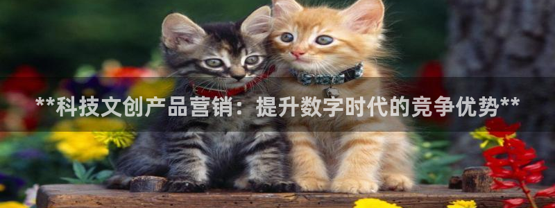 jinnianhui金年会