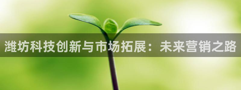 金年会体育如何