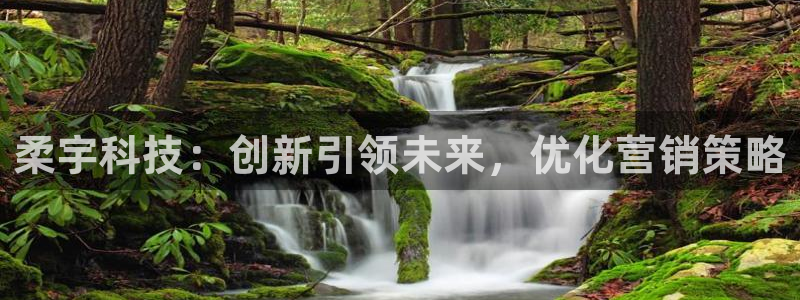 金年会电子游戏怎么玩