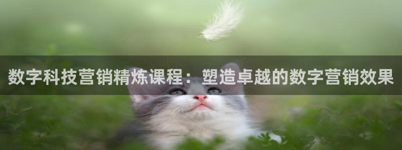 金年会网赌靠普吗