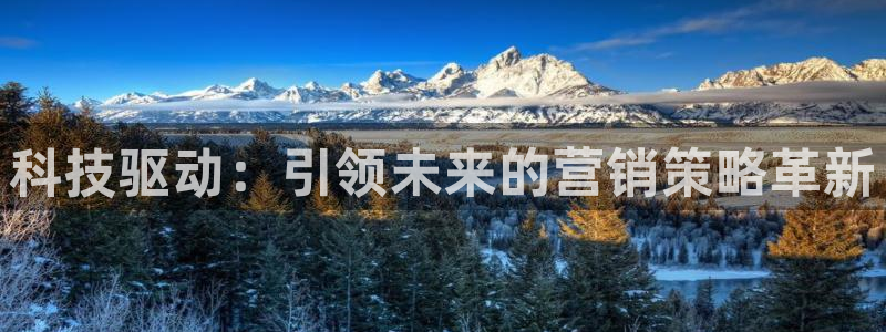 金年会网址导航下载