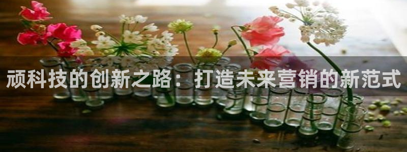 金年会体育app下载官网