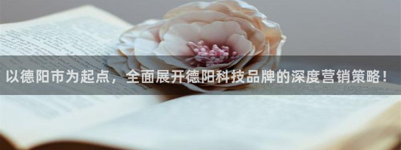 金年会体育开户