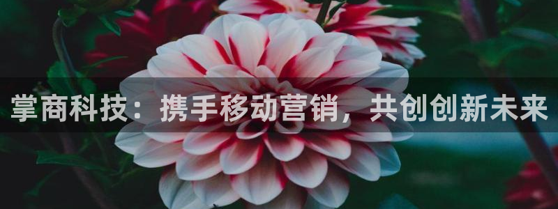 金年会官方