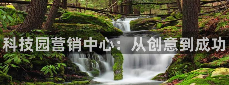 jinnianhui金年会