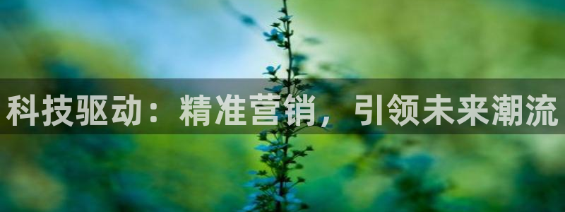 金年会体育手机app下载官网