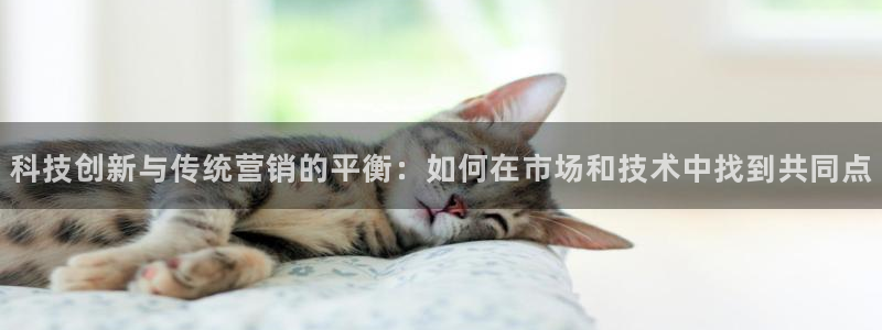 金年会体育苹果下载