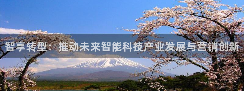 今年会金年会：智享转