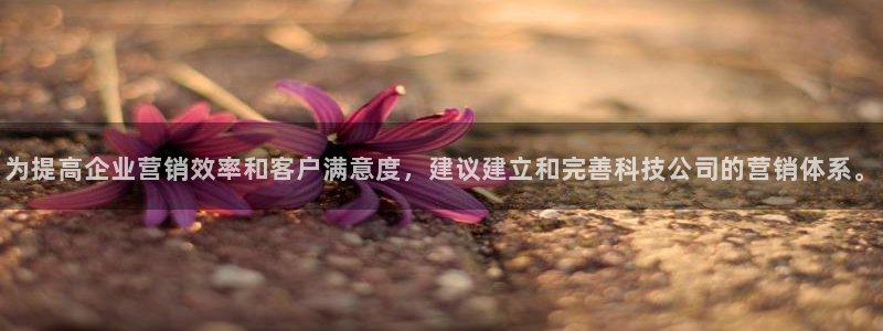 金年会金字招牌诚信至上龙年