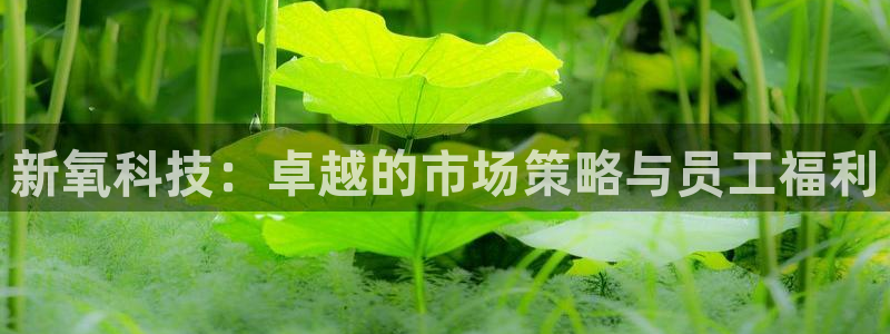 金年会体育app下载官网
