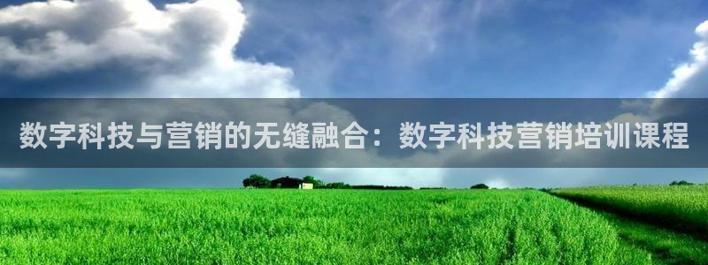 金年会金字招牌
