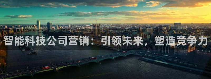 金年会网站