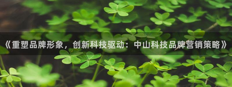 金年会下载官方app