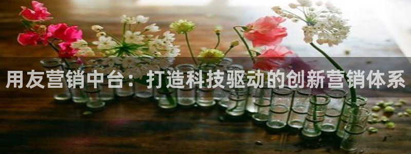 金年会jinnian体育下载app