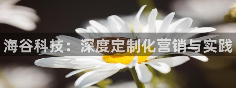 金年会金字招牌至上