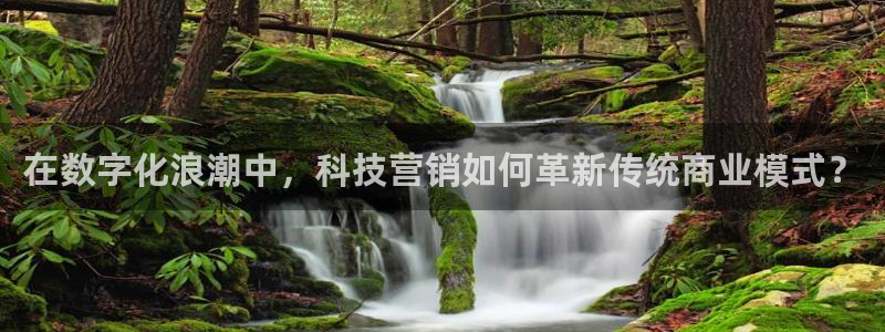 金年会手机版怎么下载