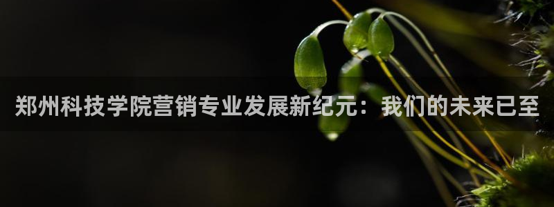 金年会体育app下载官网苹果版