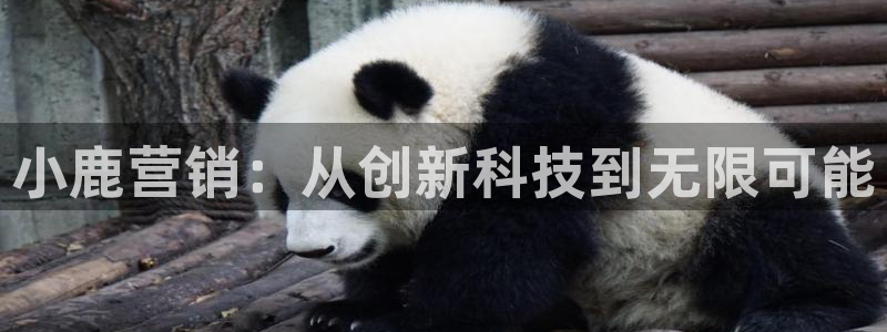 金年会app官网