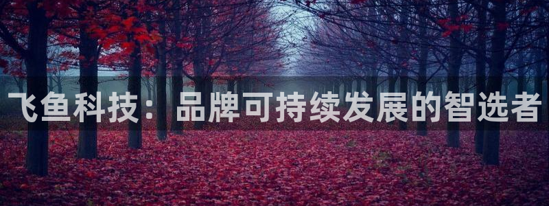 金年会官方网站入口登录网