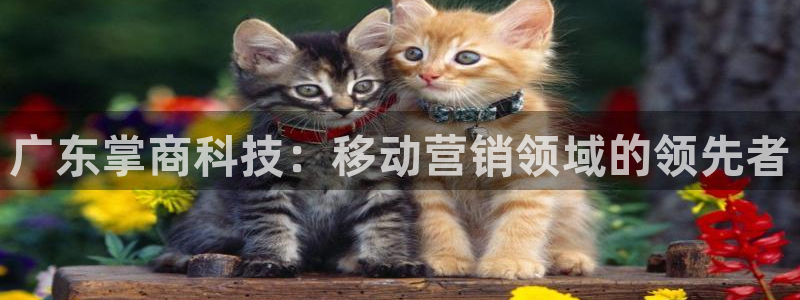 金年会金字招牌下载