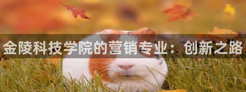 金年会官方登录