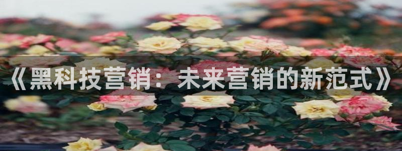 金年会官方在线登录网址是什么