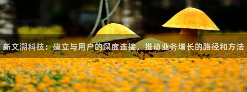 金年会手机版怎么下载