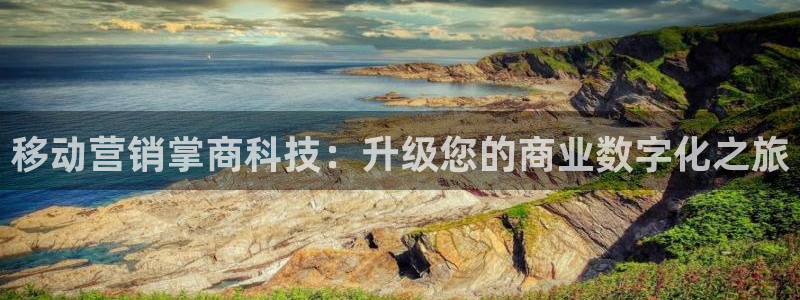 金年会体育app网页版入口