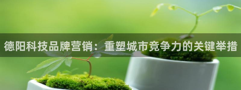 金年会手机网页版吗