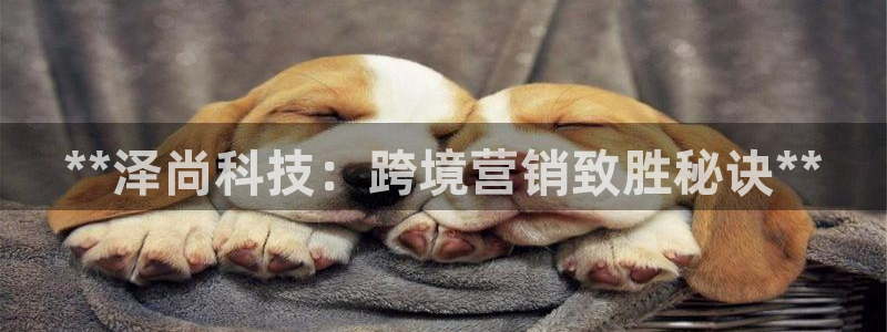 金年会官方登录入口手机版