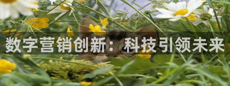 金年会体育官方微博