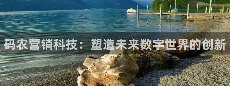 金年会信誉第一