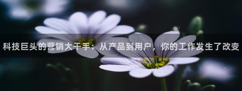 金年会体育app下载官网苹果手机