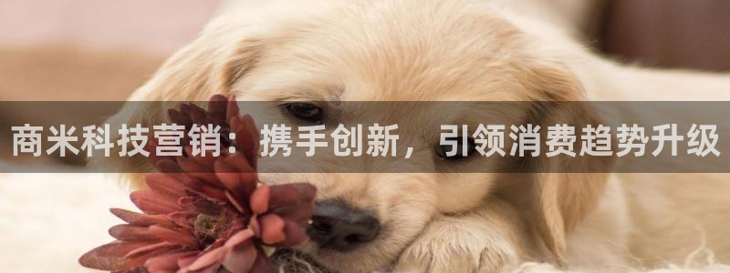 金年会app平台有人玩过吗安全吗