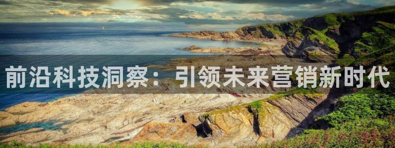 金年会体育app网页版入口