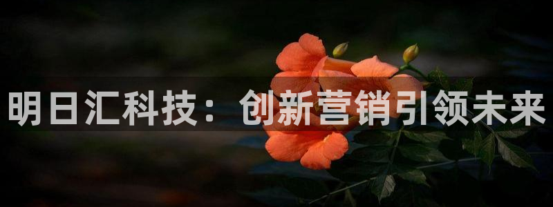 金年会赌博是诈骗吗：